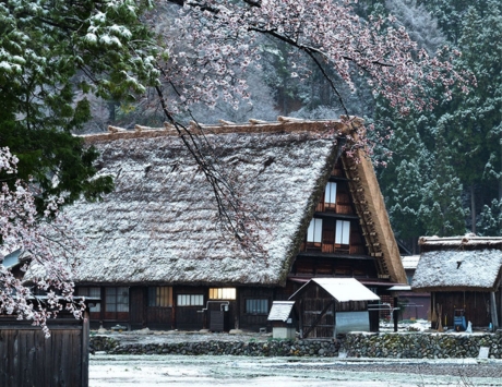 【總整理】北陸特輯